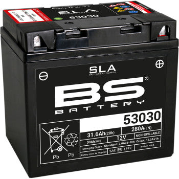BS BATTERY Battery - 53030 300880