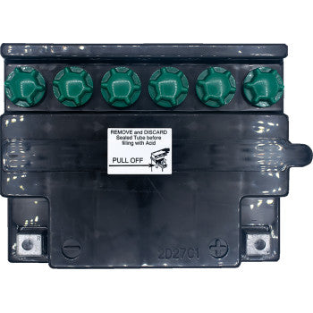 YUASA Conventional Battery YB30CL-B 12V YUAM2230CTWN