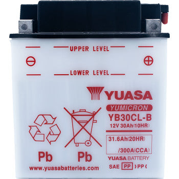 YUASA Conventional Battery YB30CL-B 12V YUAM2230CTWN