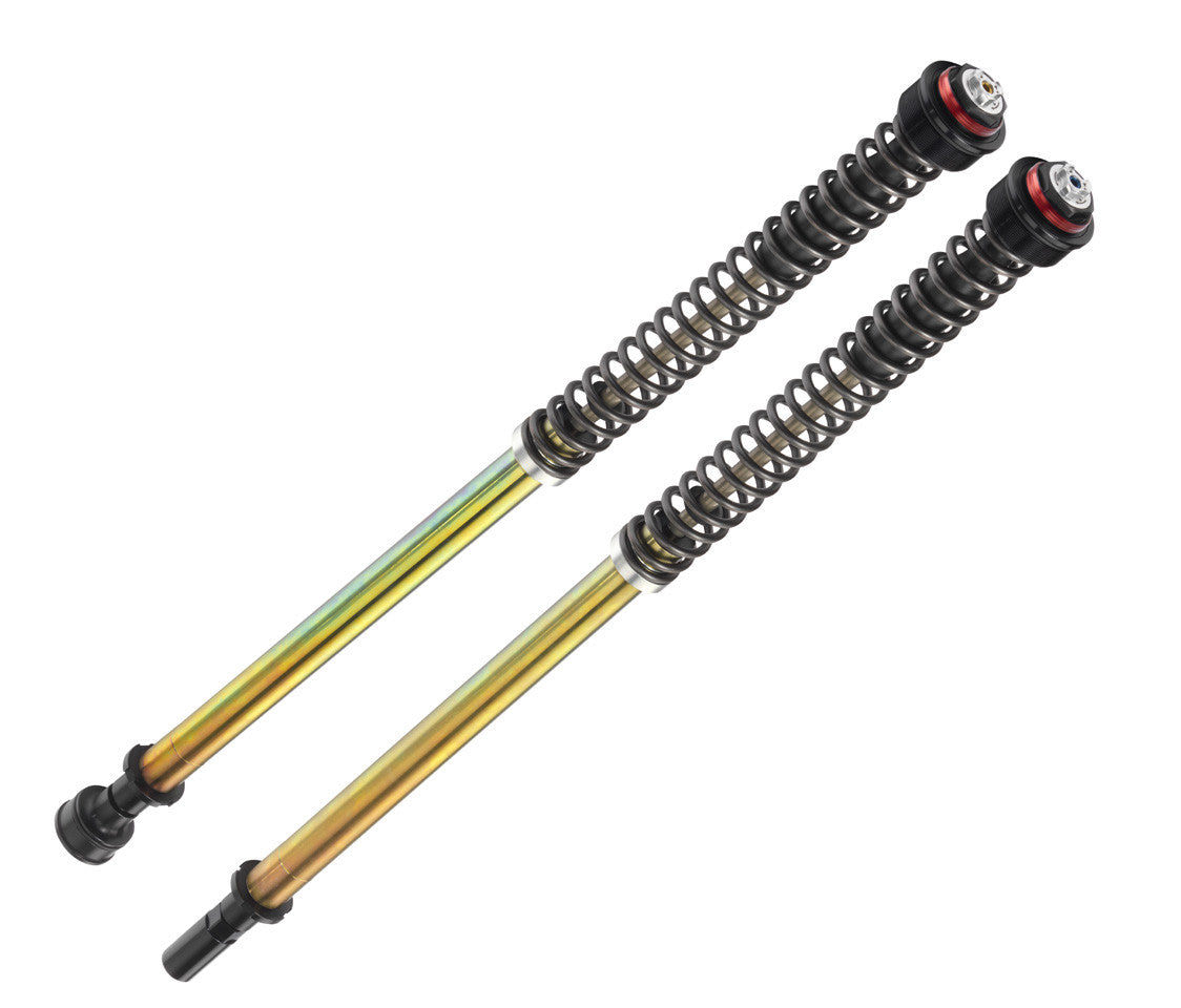 Bitubo Fork Cartridge Kit Aprilia RS 457 2024 BIT-A0055JBH01V1WO