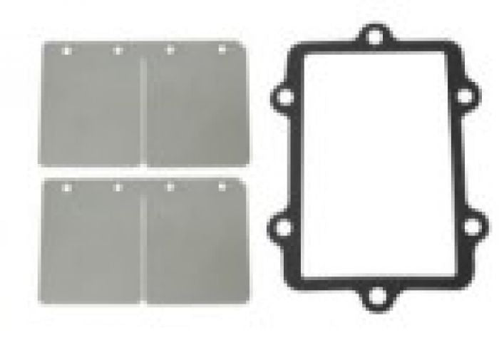 Spi Reed Valve Repair Kit A/C 127282