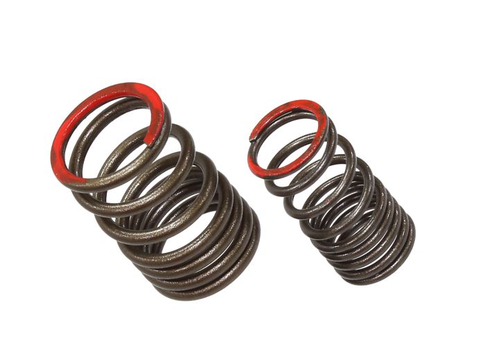 Psychic Exhaust Valve Spring 129999