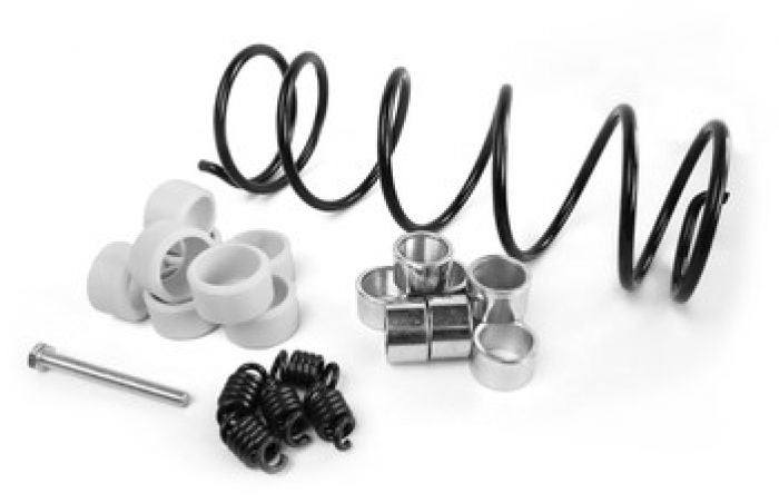 Epi Clutch Kit 376732