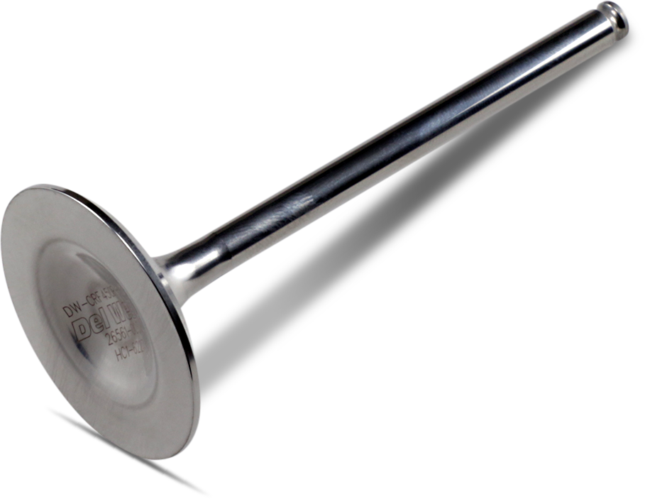 DEL WEST Einlassventil DW-CRF450R-IV02