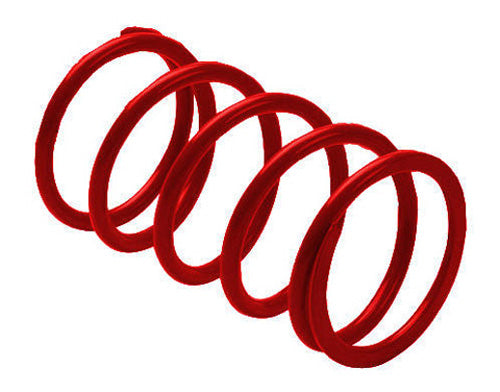 Epi Erlandson Clutch Spring ,Red 328077