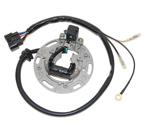 Electrosport Stator Kx85/100 (01-05) 344025