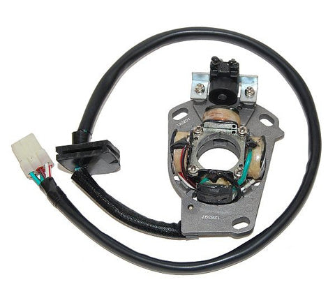 Electrosport Stator Yamaha Yz125 (05-On) 344448