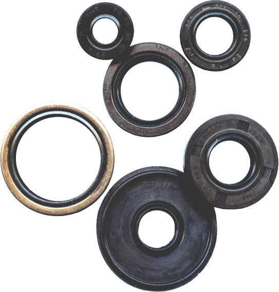 VERTEX Oil Seal Set 822203