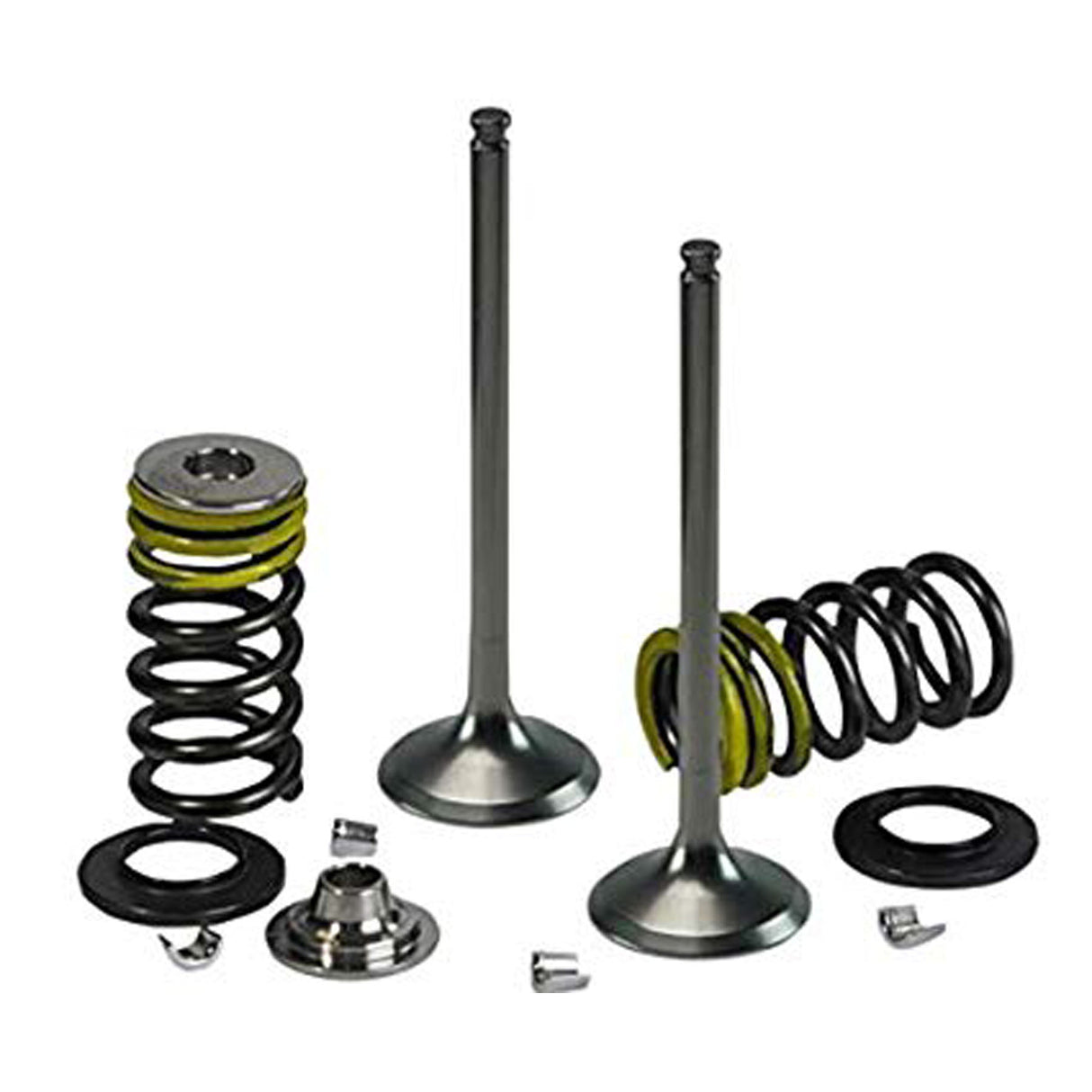 Psychic Intake Valve Kit 126454
