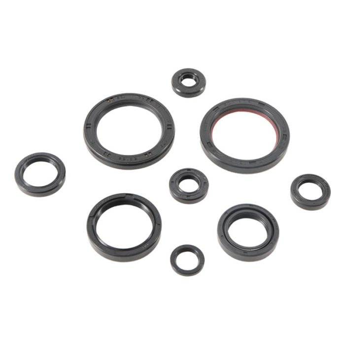 Vertex Engine Oil Seal Set 841745