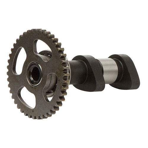 Hotcams Camshaft Polaris 870384