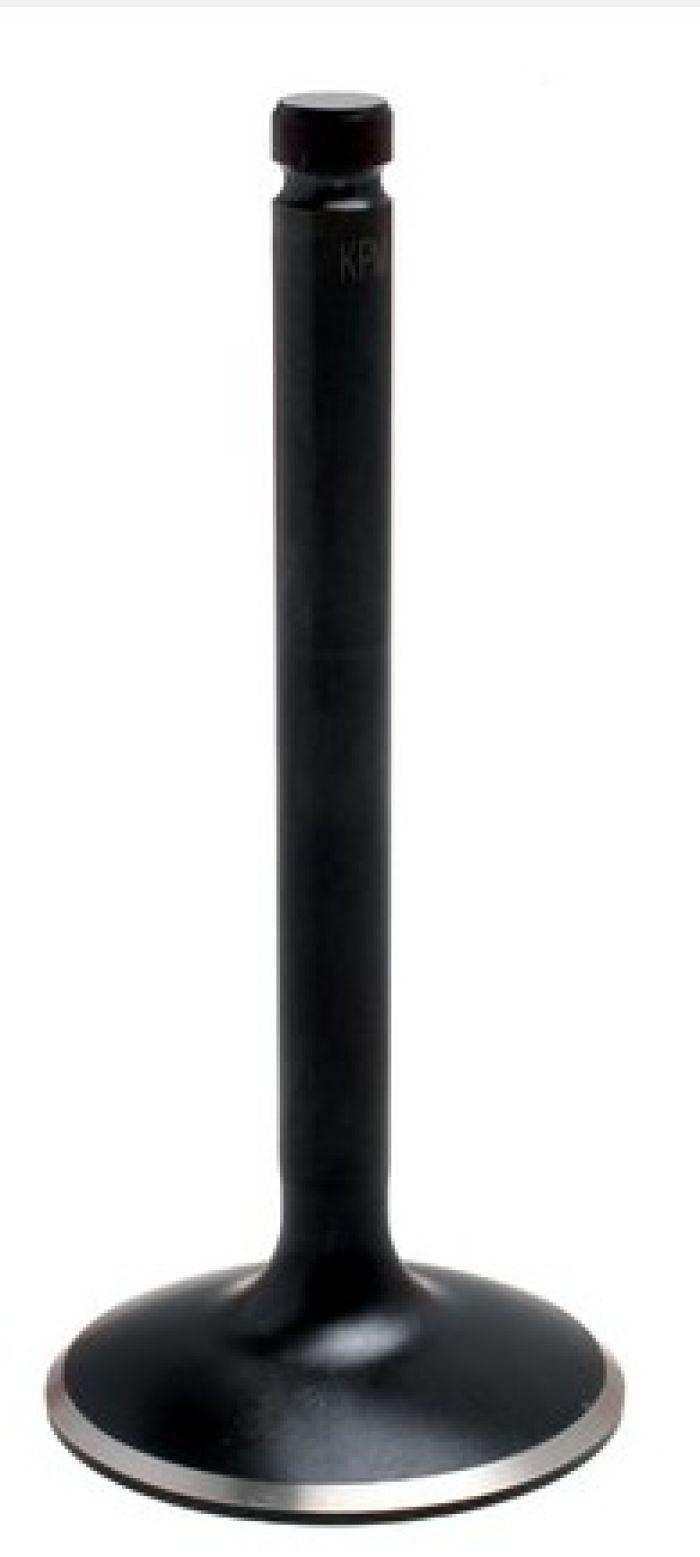 Kibblewhite Valve, Black Diamond Stain Less, Std. In 961477