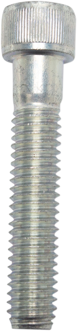 Tornillo S&S CYCLE - 3/8-16X2" 50-0164