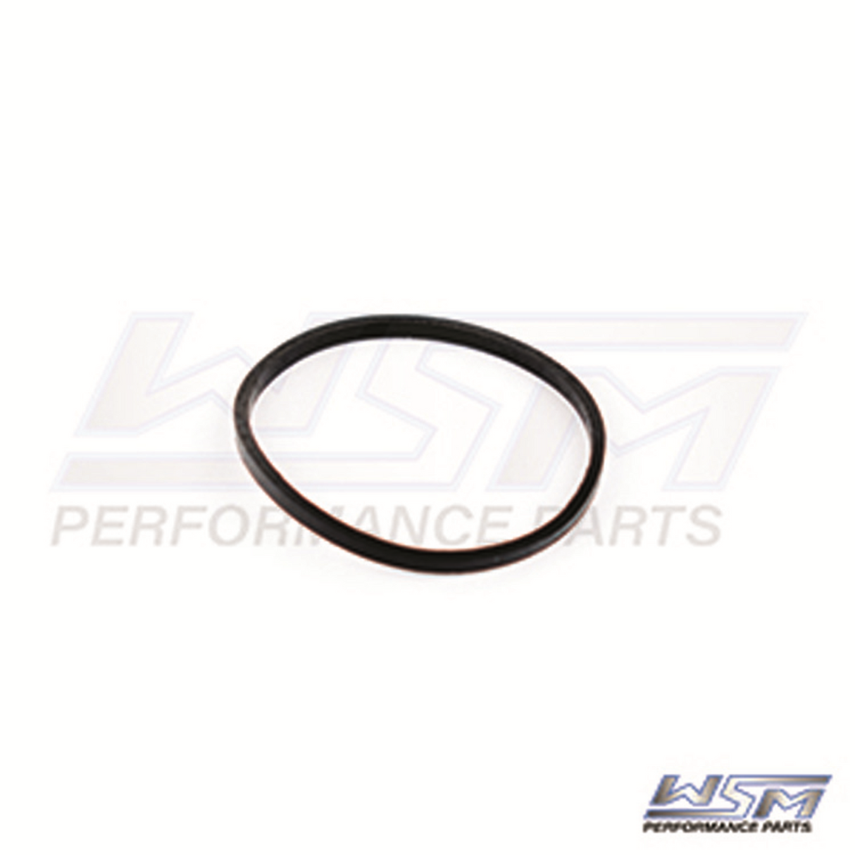 Wsm Water Seperator O-Ring 326513