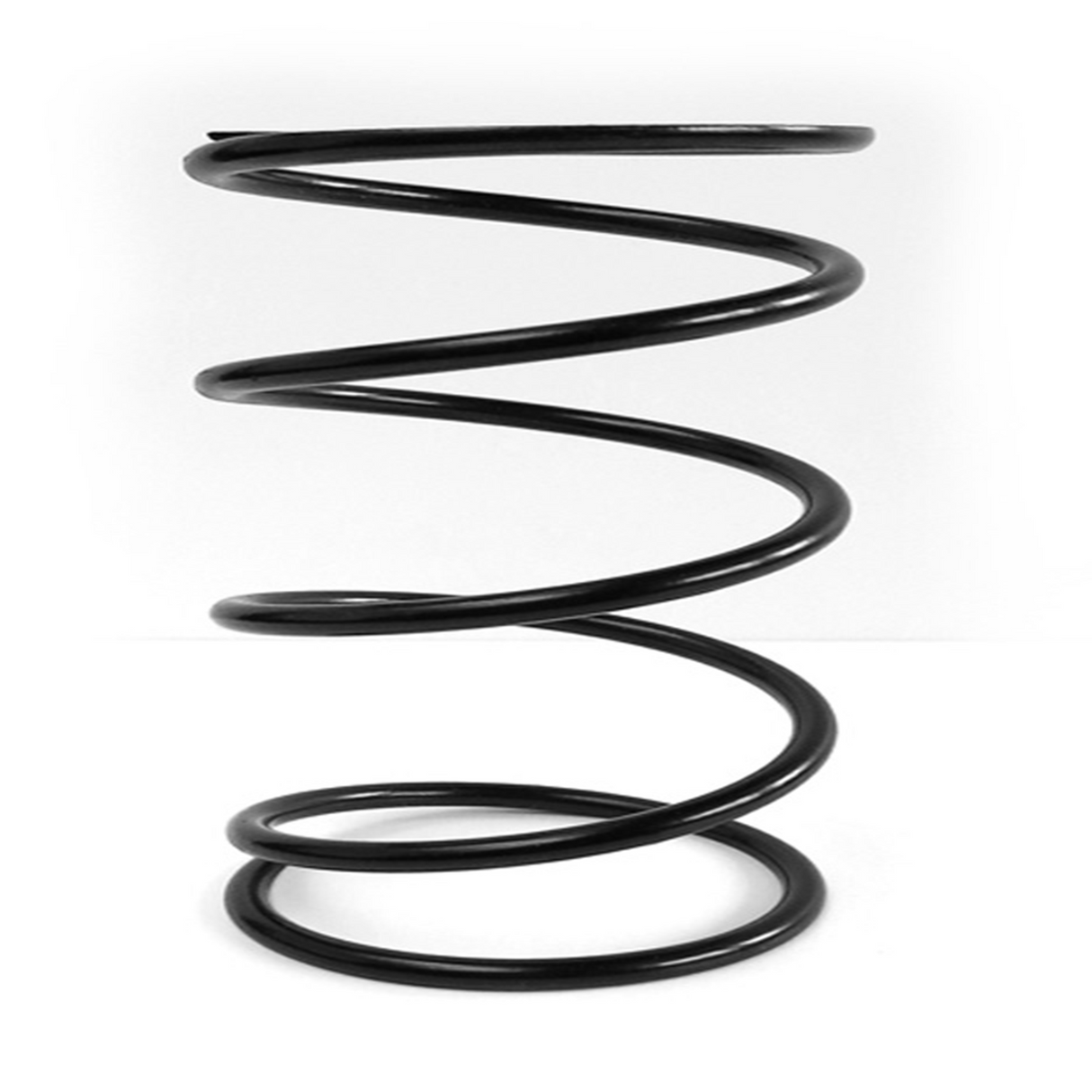 Epi Clutch Spring 378207