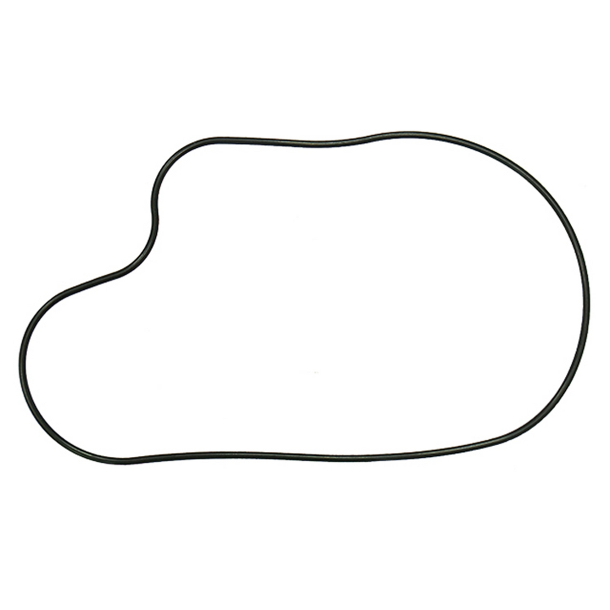 Spi Chaincase Gasket 122066