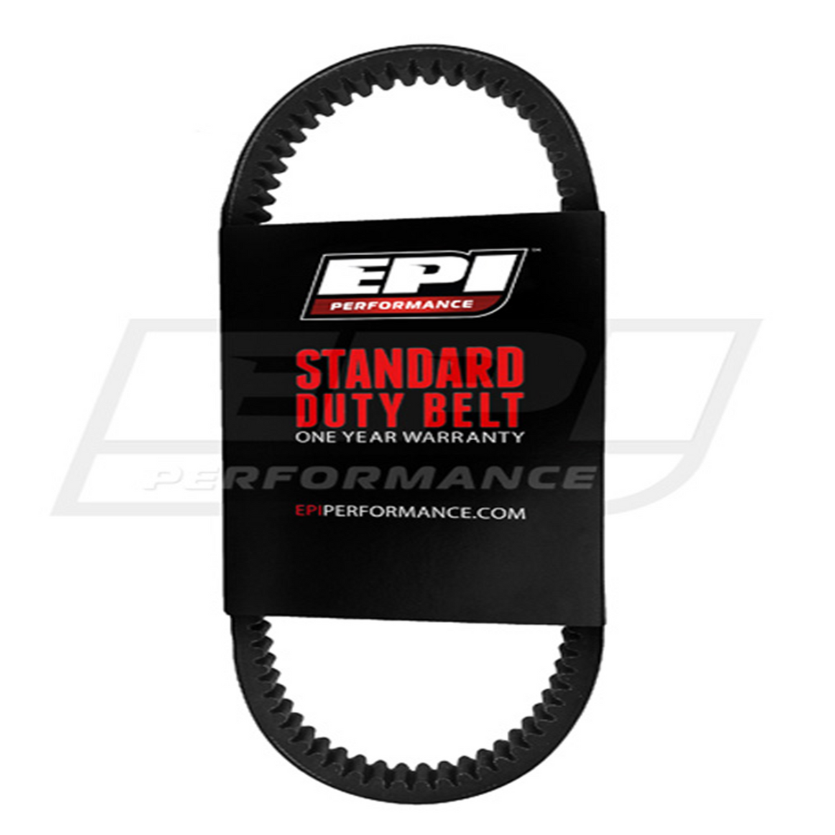 Epi Standard Belt 377025