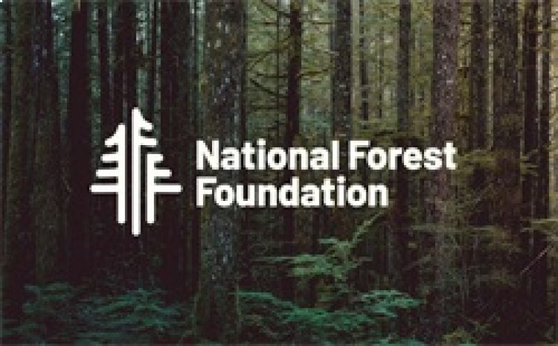 Magnaflow 21-22 Ford Bronco L4 2.3L Overland Series Cat-Back Exhaust 19556