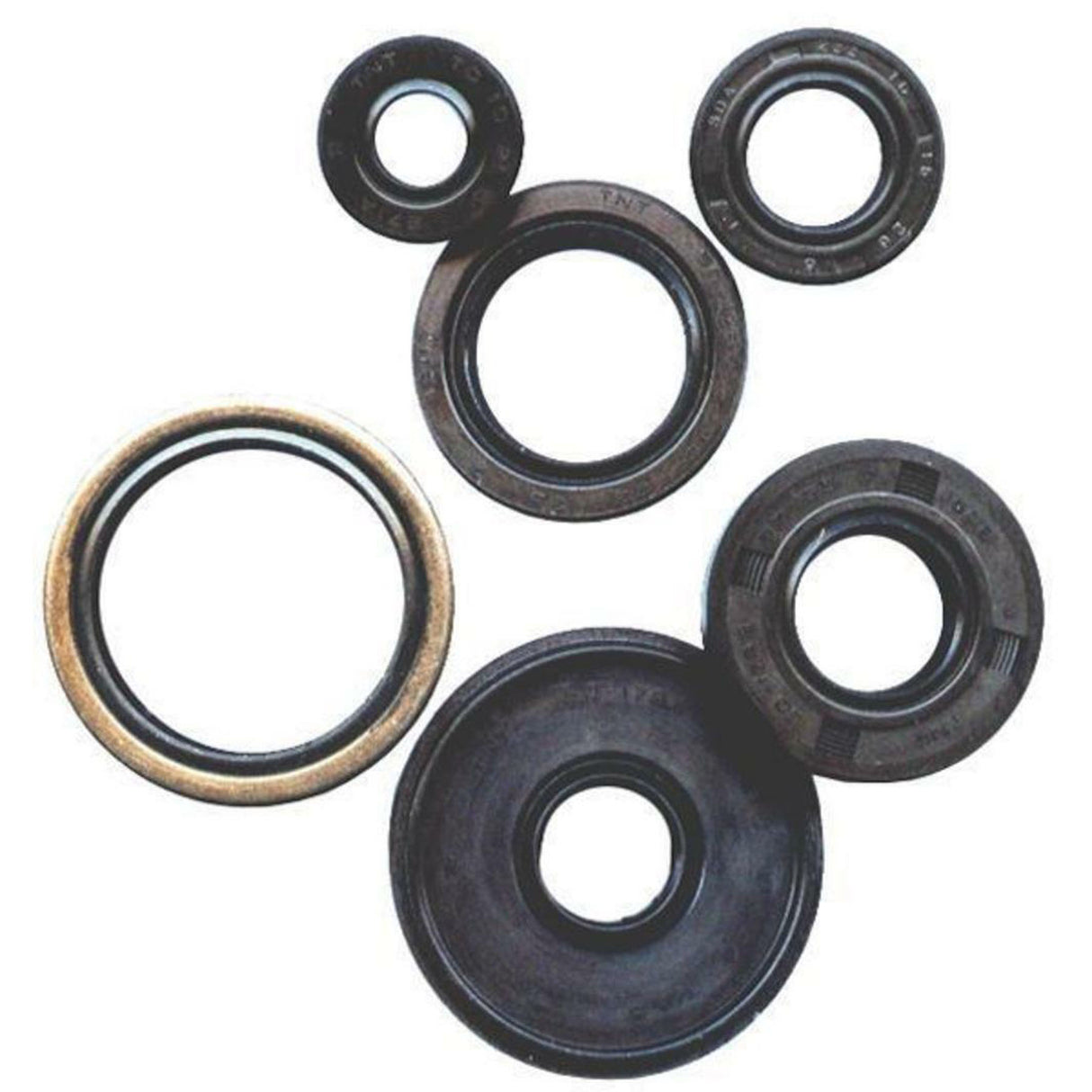 Vertex Engine Oil Seal Set 839441