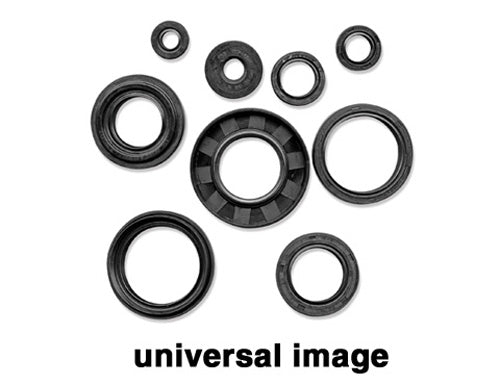 Vertex Jet Pump Oil Seal Set 837833