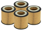 aFe Pro GUARD D2 Oil Filter 06-19 BMW Gas Cars L6-3.0T N54/55 - 4 Pack 44-LF029-MB