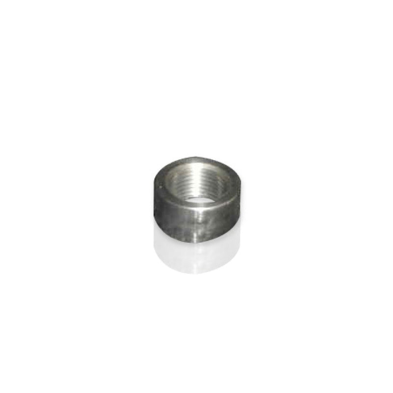 Stainless Works O2 Bung O2SS