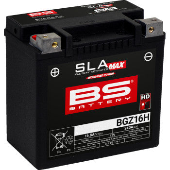 BS BATTERY Battery SLA MAX Factory- Activated AGM Maintenance BGZ16H  300931