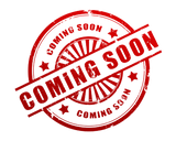 aFe Gemini XV 2.5in 304 SS Cat-Back Exhaust w/Cut-Out 18-22 Kia Stinger V6 3.3L 49-37025