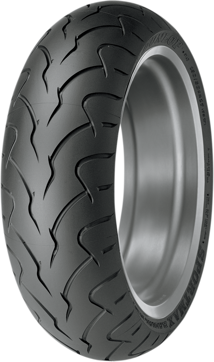 DUNLOP Tire - D207 ZR - Rear - 180/55ZR18 - (74W) 45044160