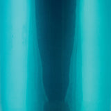 Wehrli 01-10 Duramax RCLB/CCSB/ECSB 60in Traction Bar Kit - Candy Teal