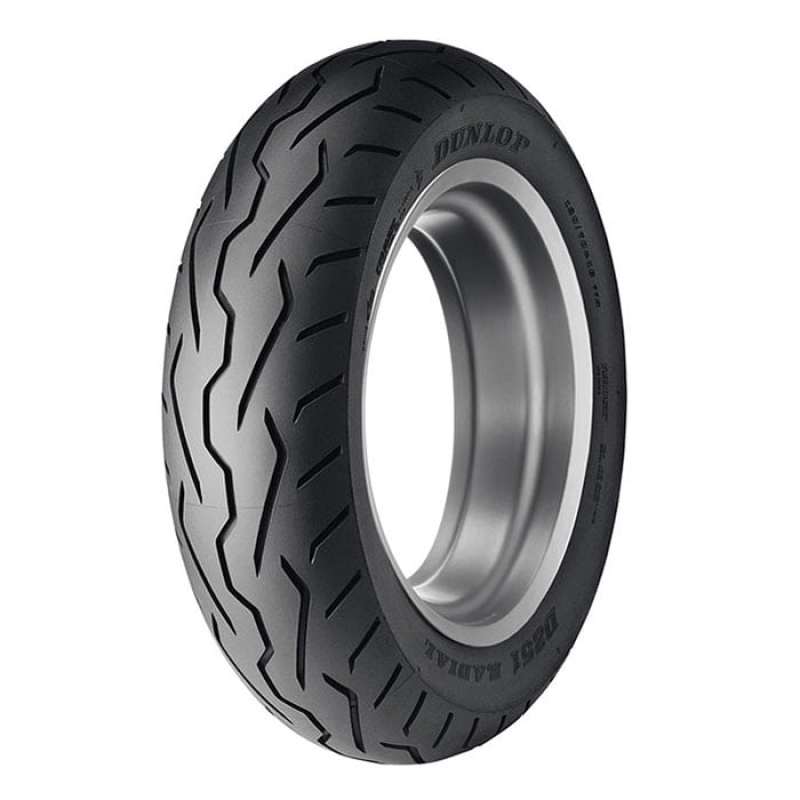 Dunlop D251 Rear Tire - 180/55R17 M/C 73V TL 45002876