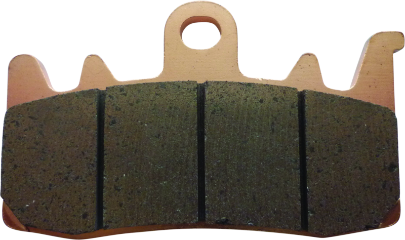 Twin Power 21-Up Pan America and Sportster S Sintered Brake Pads Replaces H-D 41300227 Front 597029