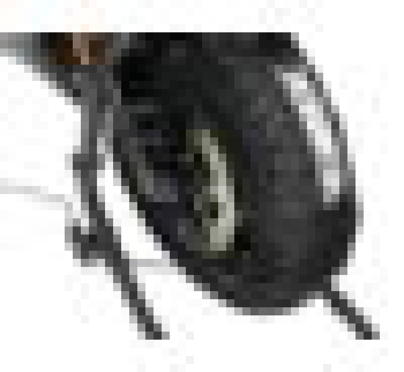 Vortex Racing Tire Warmer 140-165 Rear 120-125 Front TW102