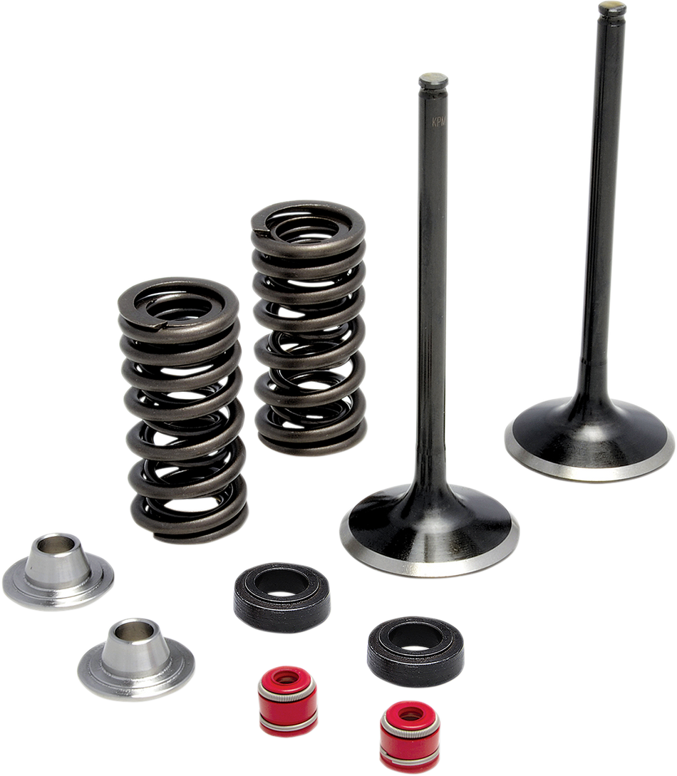 KIBBLEWHITE Spring Kit - Stainless Steel 30-32440