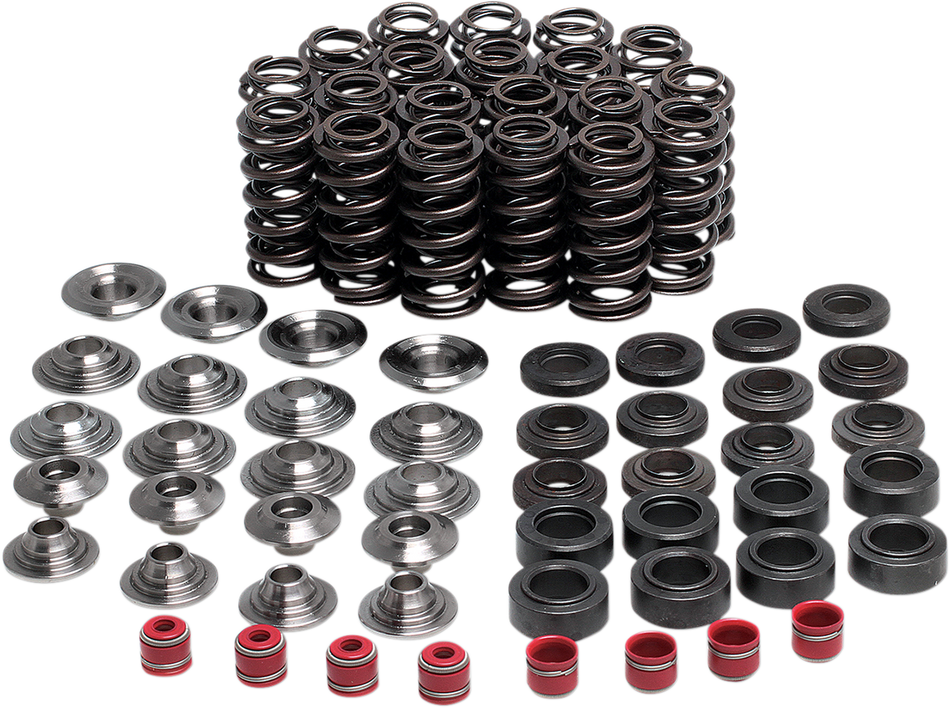 KIBBLEWHITE Valve Spring Kit 80-80250