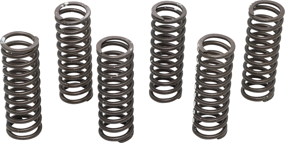 KG POWERSPORTS Clutch Spring Set KGS-714