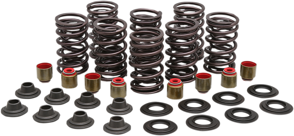 KIBBLEWHITE Valve Spring Kit 82-83450