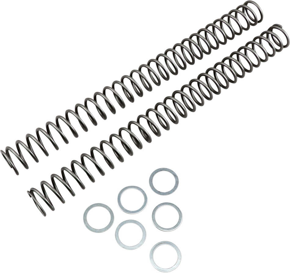 RACE TECH Fork Springs - 0.44 kg/mm FRSP 444744