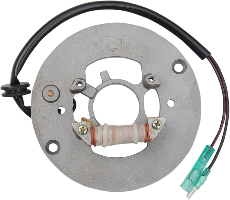 RICK'S MOTORSPORT ELECTRIC STATOR YAMAHA 21-906