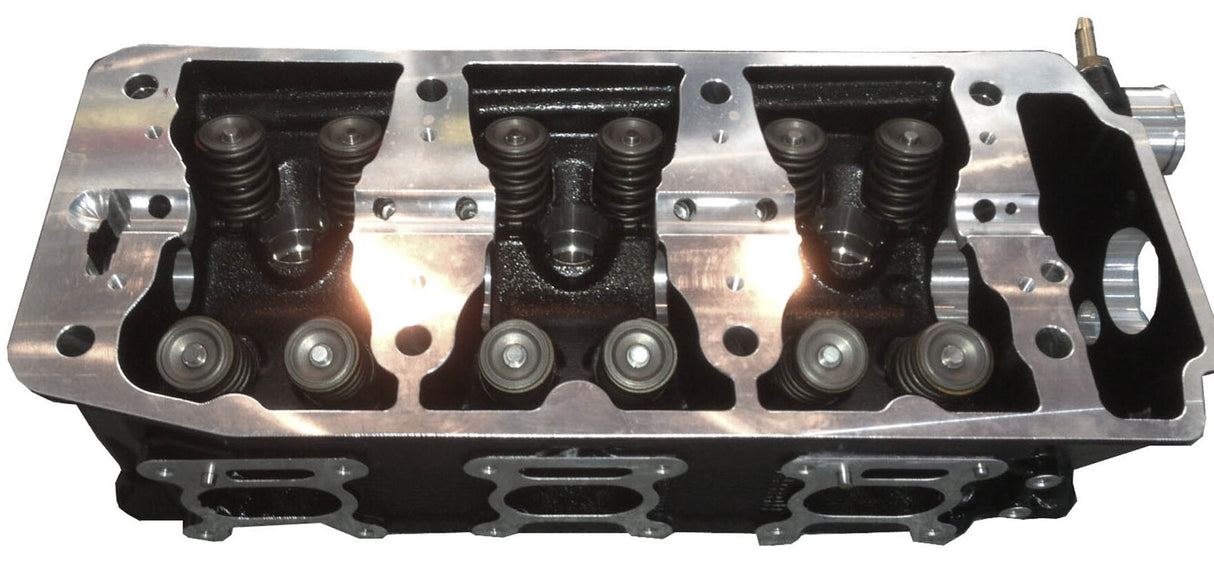 WSM Cylinder Head Kit W/Valves 010-5000K