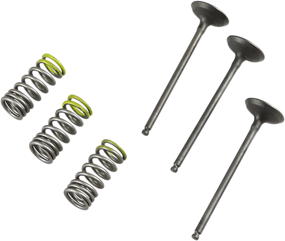 PROX Valve and Spring Kit 28.SIS2402-2