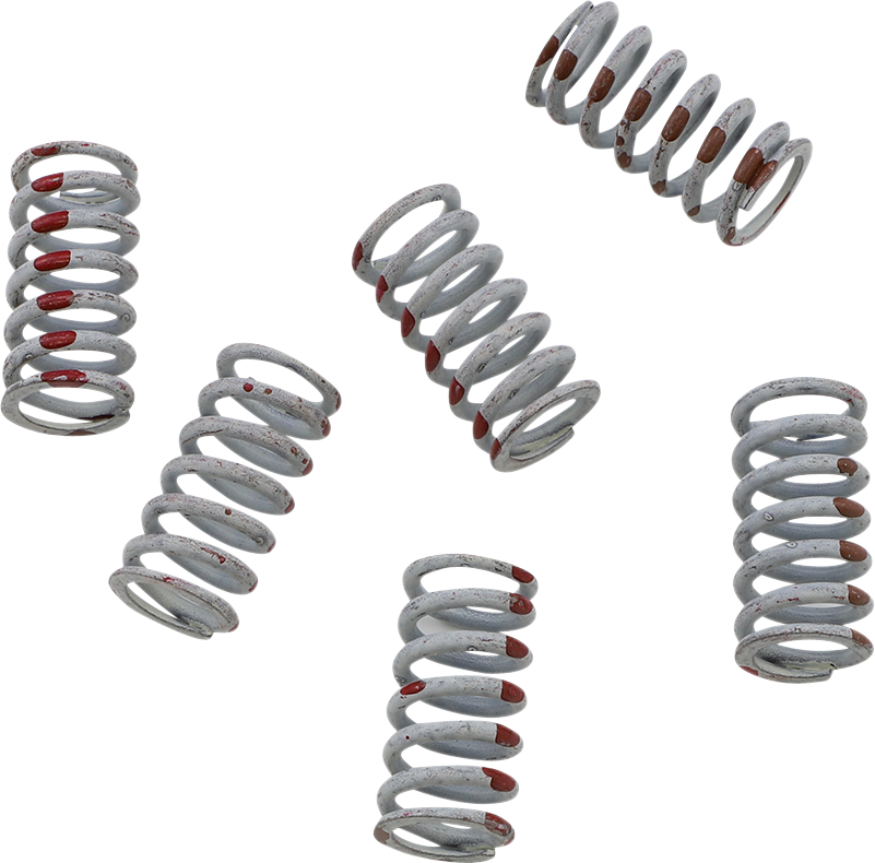 KG POWERSPORTS Clutch Spring Set KGS-057