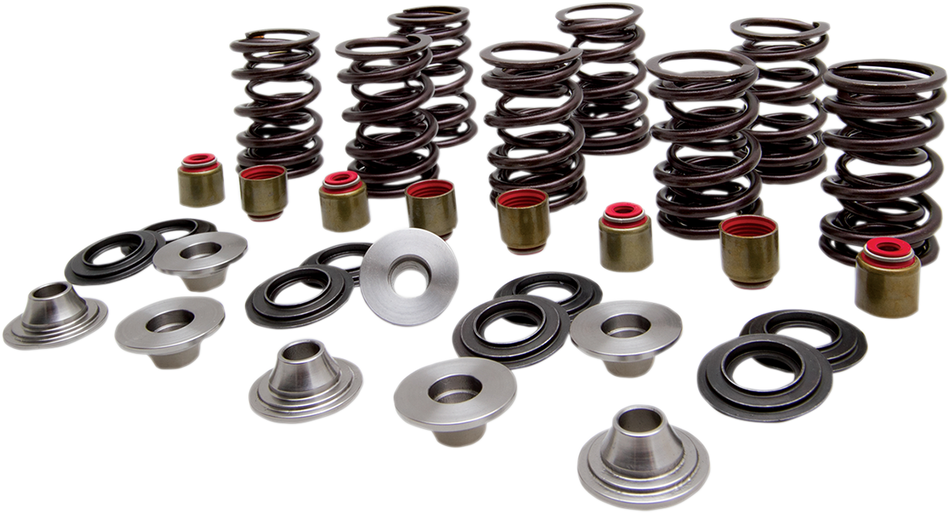 KIBBLEWHITE Valve Spring Kit 82-83400