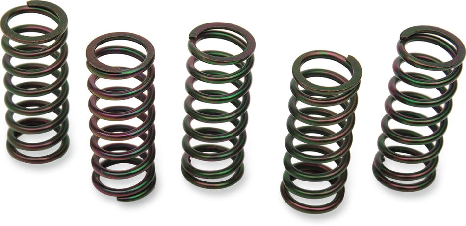 BARNETT Clutch Springs 501-58-05076