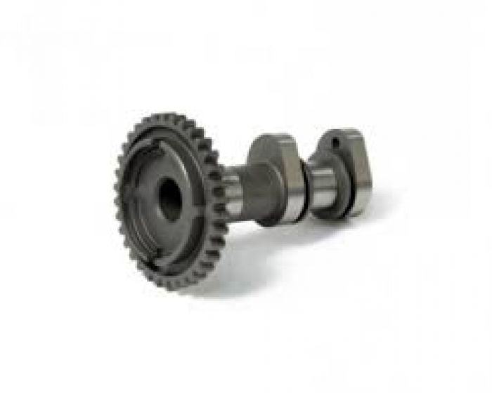 Hotcams Camshaft Intake 834998
