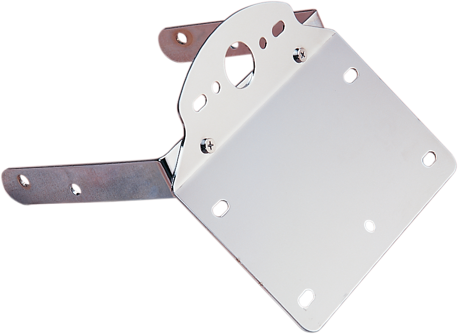 DRAG SPECIALTIES License Plate/Taillight Bracket 72493