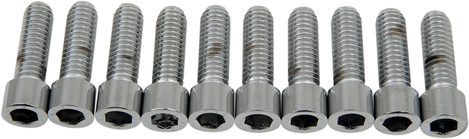 DRAG SPECIALTIES Bolts - Socket-Head - Smooth - 5/16-18 x 1" MPB217S