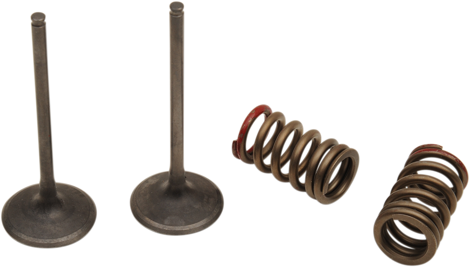 PROX Valve and Spring Kit 28.SIS4335-2