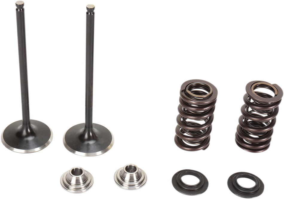 KIBBLEWHITE Intake Valve Kit 96-96480