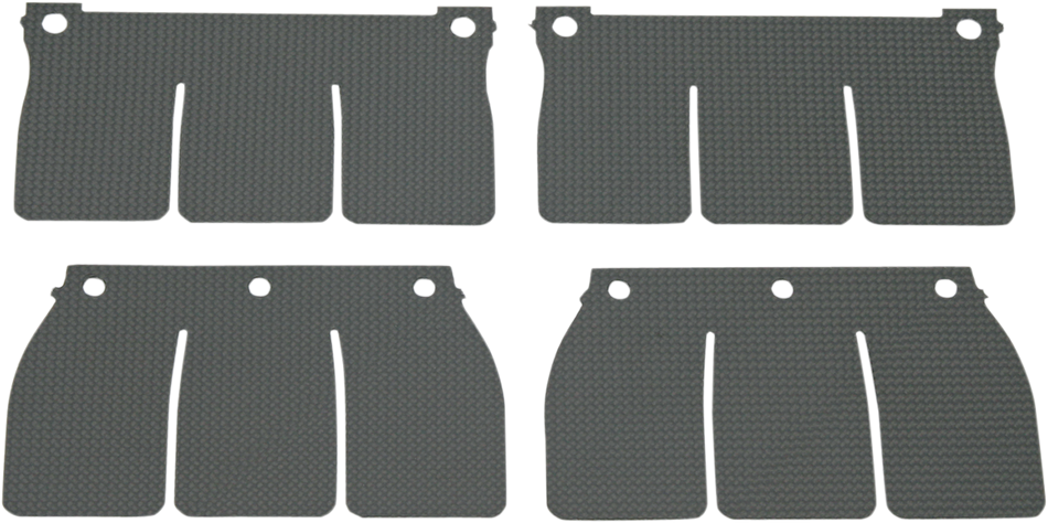 VFORCE/MOTO TASSINARI V-Force Reed Petal Set 2P127-1